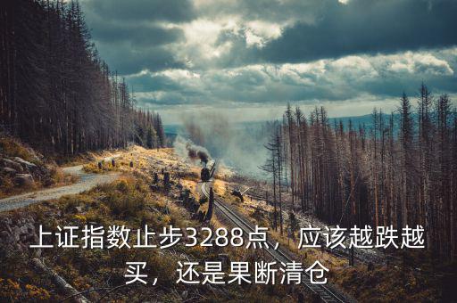 上證指數(shù)止步3288點(diǎn)，應(yīng)該越跌越買，還是果斷清倉