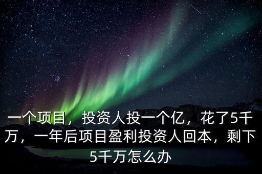 一個(gè)項(xiàng)目，投資人投一個(gè)億，花了5千萬(wàn)，一年后項(xiàng)目盈利投資人回本，剩下5千萬(wàn)怎么辦
