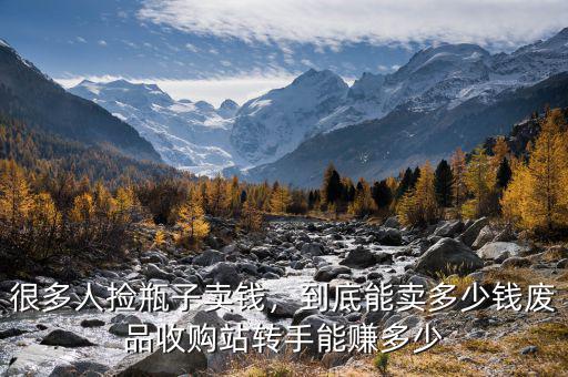 很多人撿瓶子賣錢，到底能賣多少錢廢品收購站轉手能賺多少