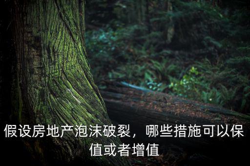 假設房地產泡沫破裂，哪些措施可以保值或者增值