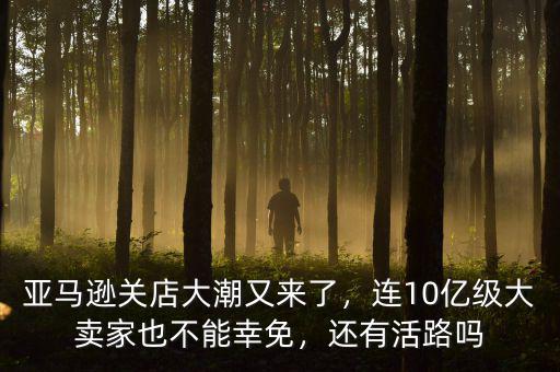 亞馬遜關(guān)店大潮又來(lái)了，連10億級(jí)大賣家也不能幸免，還有活路嗎