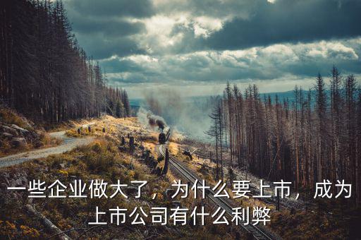 一些企業(yè)做大了，為什么要上市，成為上市公司有什么利弊
