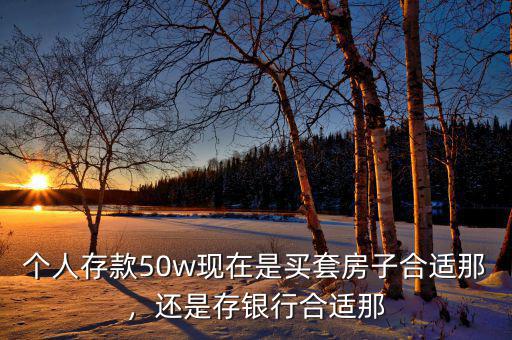 個人存款50w現(xiàn)在是買套房子合適那，還是存銀行合適那
