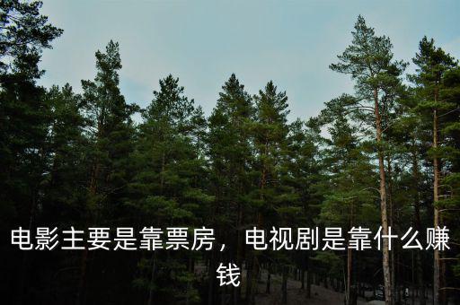 電影主要是靠票房，電視劇是靠什么賺錢