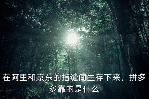 在阿里和京東的指縫間生存下來(lái)，拼多多靠的是什么
