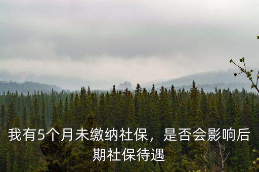 我有5個月未繳納社保，是否會影響后期社保待遇