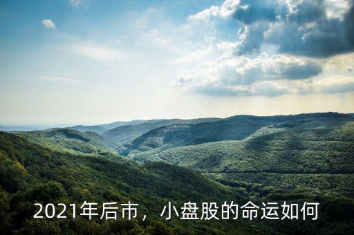 2021年后市，小盤股的命運如何