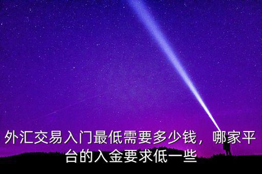 外匯交易入門最低需要多少錢，哪家平臺(tái)的入金要求低一些