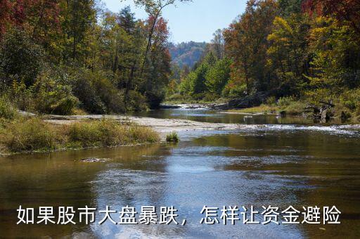 如果股市大盤暴跌，怎樣讓資金避險