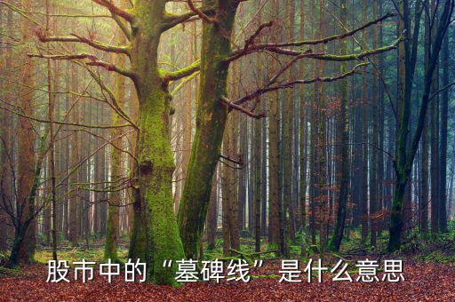 陰捶線(xiàn)是什么意思,倒錘頭周K線(xiàn)是什么意思