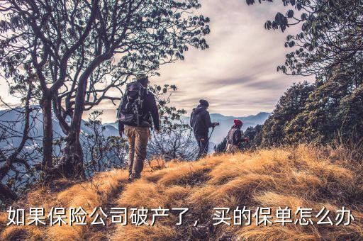 如果保險公司破產(chǎn)了，買的保單怎么辦