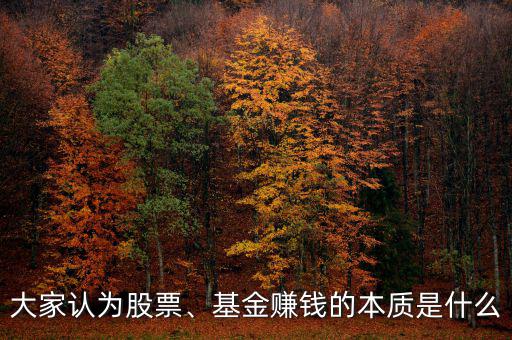 大家認(rèn)為股票、基金賺錢的本質(zhì)是什么