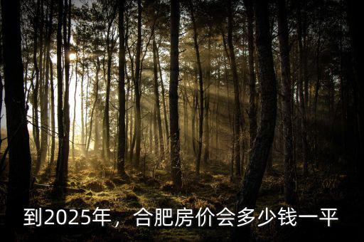到2025年，合肥房?jī)r(jià)會(huì)多少錢(qián)一平
