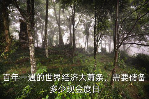 百年一遇的世界經(jīng)濟(jì)大蕭條，需要儲備多少現(xiàn)金度日