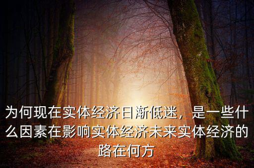 為何現(xiàn)在實(shí)體經(jīng)濟(jì)日漸低迷，是一些什么因素在影響實(shí)體經(jīng)濟(jì)未來(lái)實(shí)體經(jīng)濟(jì)的路在何方
