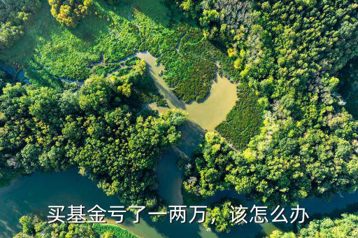 買基金虧了一兩萬，該怎么辦
