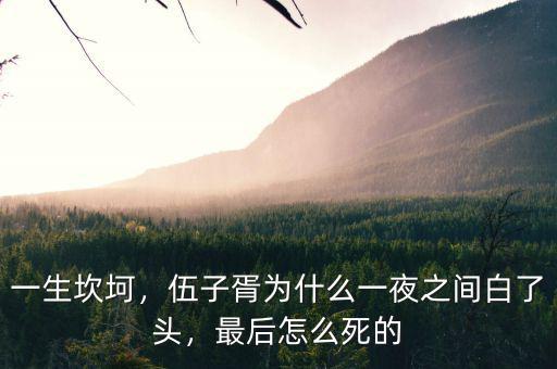 一生坎坷，伍子胥為什么一夜之間白了頭，最后怎么死的