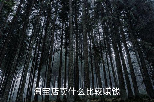 淘寶店賣(mài)什么比較賺錢(qián)