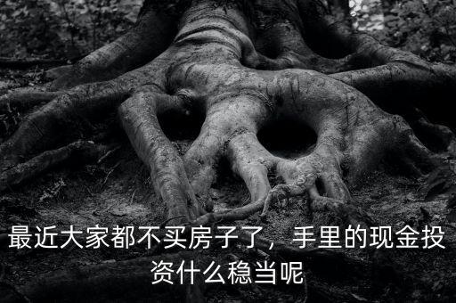 最近大家都不買房子了，手里的現(xiàn)金投資什么穩(wěn)當(dāng)呢