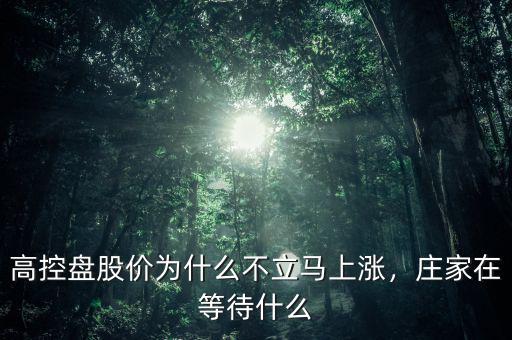 高控盤股價(jià)為什么不立馬上漲，莊家在等待什么