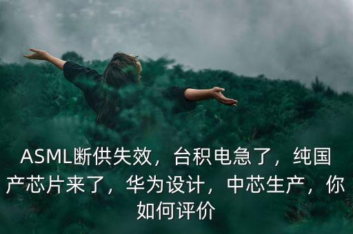 ASML斷供失效，臺積電急了，純國產(chǎn)芯片來了，華為設(shè)計，中芯生產(chǎn)，你如何評價