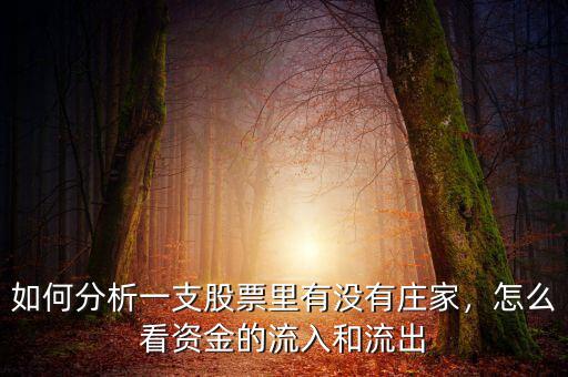 如何分析一支股票里有沒有莊家，怎么看資金的流入和流出