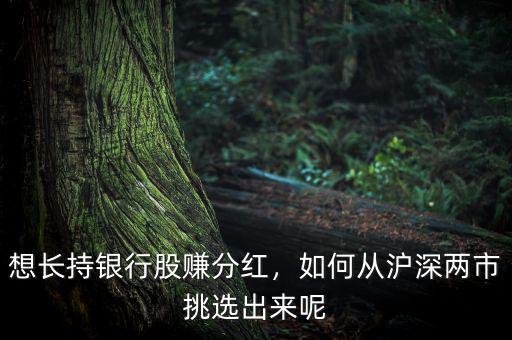 想長持銀行股賺分紅，如何從滬深兩市挑選出來呢