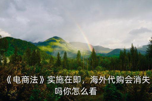 《電商法》實施在即，海外代購會消失嗎你怎么看