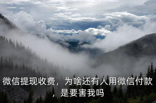 微信提現(xiàn)收費(fèi)，為啥還有人用微信付款，是要害我嗎