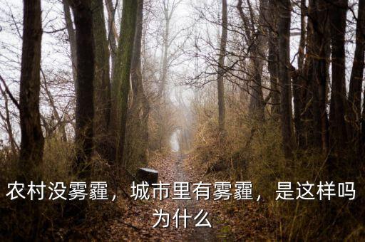 農(nóng)村沒霧霾，城市里有霧霾，是這樣嗎為什么