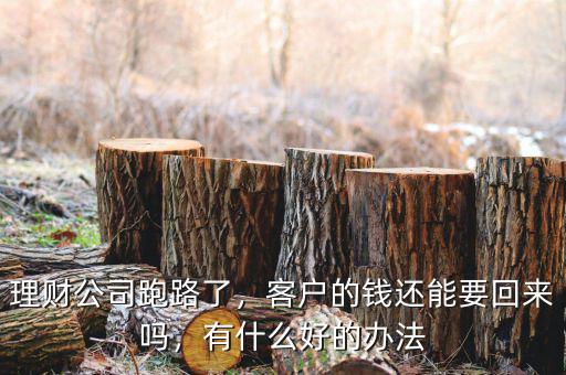 理財(cái)公司倒閉錢(qián)怎么辦,理財(cái)公司破產(chǎn)了