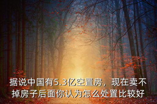 據(jù)說中國有5.3億空置房，現(xiàn)在賣不掉房子后面你認(rèn)為怎么處置比較好