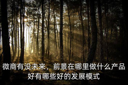 微商有沒未來，前景在哪里做什么產(chǎn)品好有哪些好的發(fā)展模式