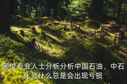 哪位專業(yè)人士分析分析中國石油、中石化為什么總是會出現(xiàn)虧損
