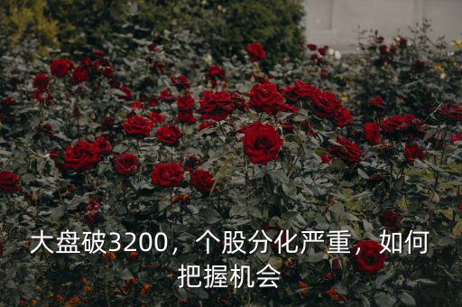 大盤破3200，個(gè)股分化嚴(yán)重，如何把握機(jī)會(huì)