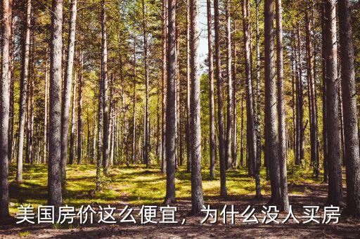 美國房價這么便宜，為什么沒人買房