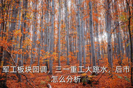 軍工板塊回調(diào)，三一重工大跳水，后市怎么分析