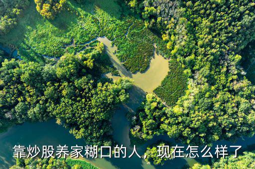 靠炒股養(yǎng)家糊口的人，現在怎么樣了