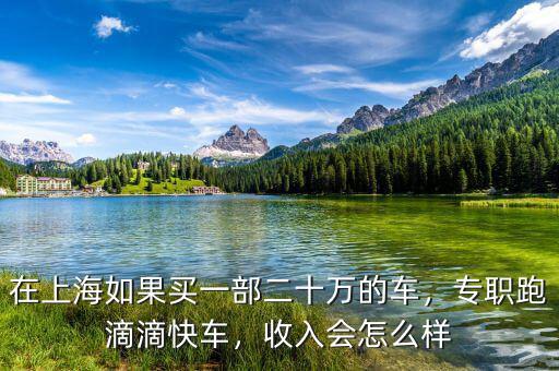 在上海如果買(mǎi)一部二十萬(wàn)的車(chē)，專(zhuān)職跑滴滴快車(chē)，收入會(huì)怎么樣