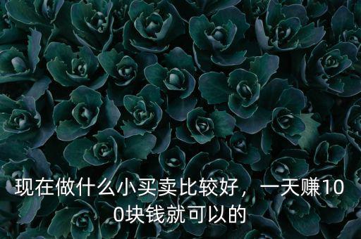 現(xiàn)在轉(zhuǎn)型期做什么小買(mǎi)賣(mài)好,現(xiàn)在做什么小買(mǎi)賣(mài)比較好