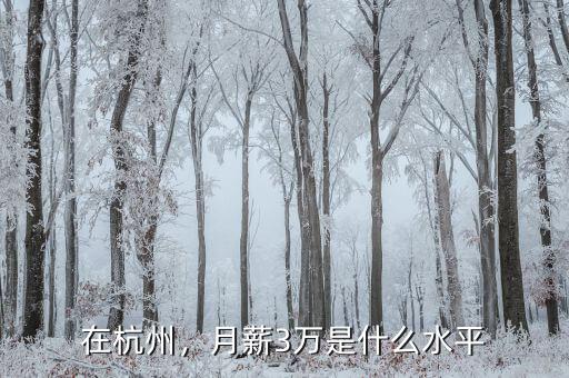 在杭州，月薪3萬是什么水平