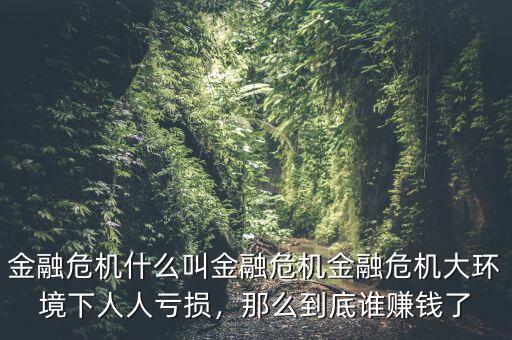 金融危機(jī)什么叫金融危機(jī)金融危機(jī)大環(huán)境下人人虧損，那么到底誰賺錢了