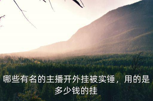 哪些有名的主播開外掛被實錘，用的是多少錢的掛