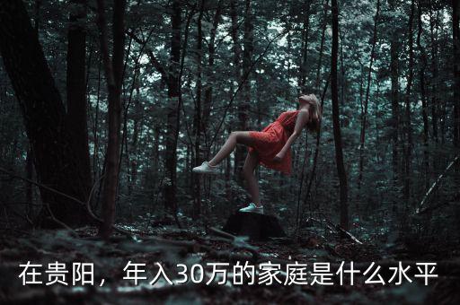 在貴陽(yáng)，年入30萬(wàn)的家庭是什么水平