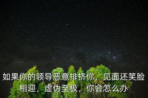 如果你的領(lǐng)導(dǎo)惡意排擠你，見(jiàn)面還笑臉相迎，虛偽至極，你會(huì)怎么辦