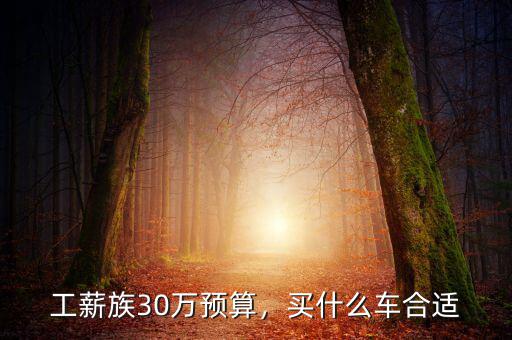 工薪族30萬預(yù)算，買什么車合適