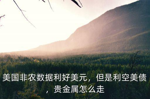 美國非農(nóng)數(shù)據(jù)利好美元，但是利空美債，貴金屬怎么走