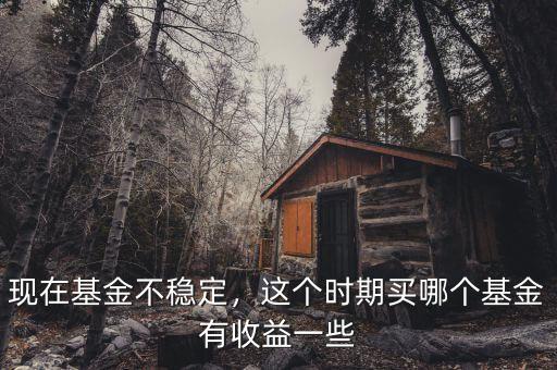 現在基金不穩(wěn)定，這個時期買哪個基金有收益一些