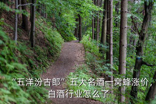 “五洋汾古郎”五大名酒一窩蜂漲價，白酒行業(yè)怎么了