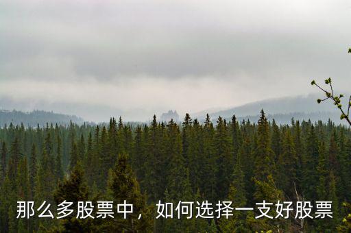 那么多股票中，如何選擇一支好股票